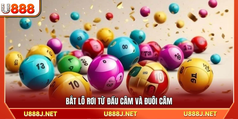 Phân tích lô rơi dựa trên đầu câm và đuôi câm