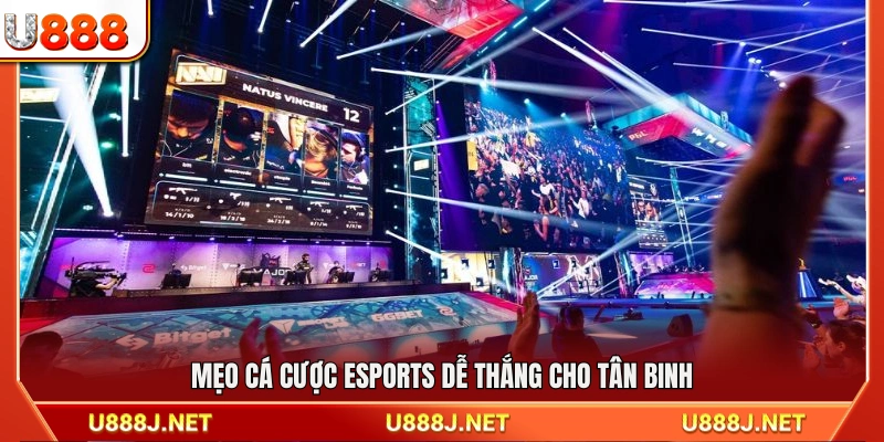 Bí quyết cá cược Esports dành cho người mới