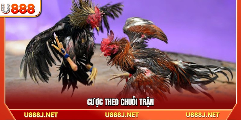 Đặt cược theo loạt trận liên tiếp